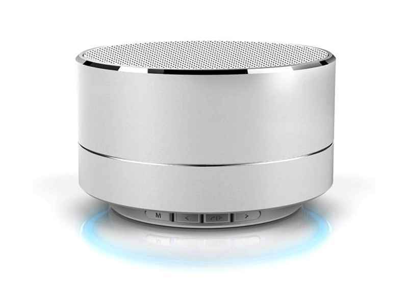 Reekin Marlin Bluetooth Lautsprecher mit Freisprech (Silber)