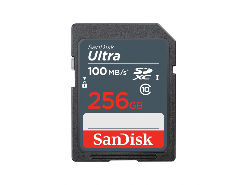 SanDisk Speicherkarte SDXC-Card Ultra 256 GB SDSDUNR-256G-GN3IN