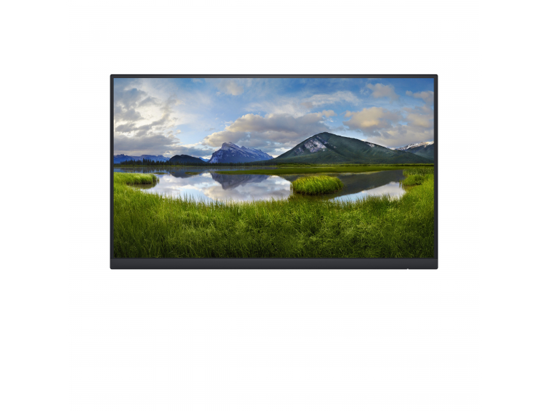 Dell LED-Display P2222H - 55.9 cm (22) 1920 x 1080 Full HD DELL-P2222HWOS