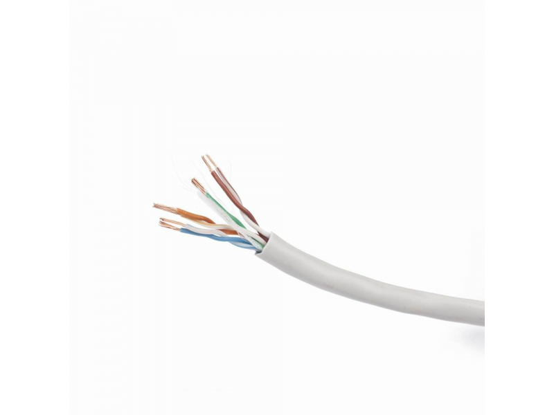 CableXpert CAT6 UTP 100m - 100 m - Cat6 - U/UTP (UTP) - Grau UPC-6004-L/100