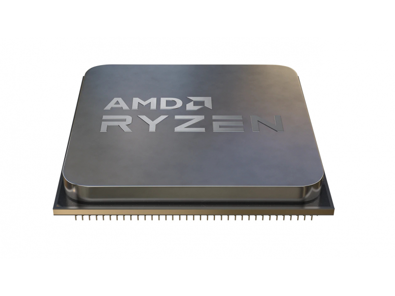 AMD Ryzen 5 5600G AM4 (3,900GHz) 100-000000252 TRAY