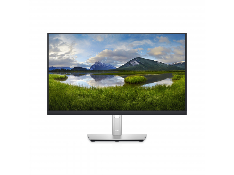 Dell - 60,5 cm (23.8 Zoll) - LCD - Schwarz DELL-P2422HE