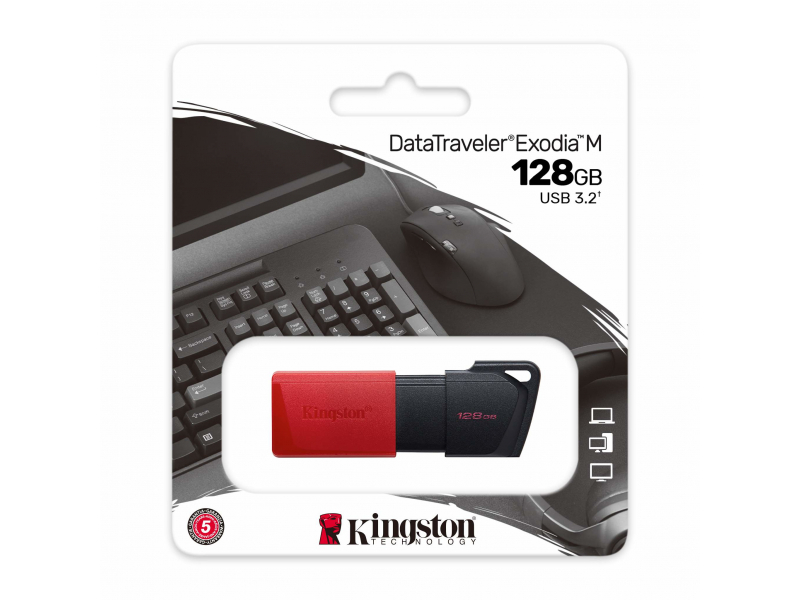 Kingston DataTraveler Expodia M 128 GB USB 3.2 Gen 1 DTXM/128GB