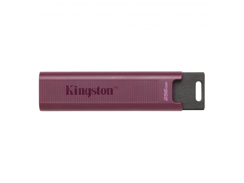 Kingston DataTraveler Max 256 GB USB Flash DTMAXA/256GB