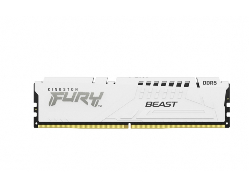 Kingston Fury Beast 16GB 1x16GB DDR5 5600MT/s CL36 EXPO KF556C36BWE-16