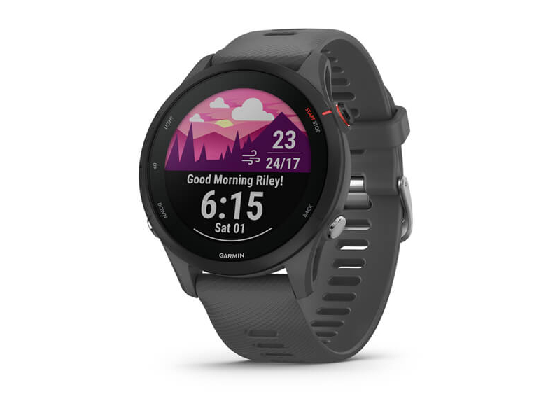 Garmin Forerunner 255 4GB Schiefergrau/Schwarz 010-02641-10