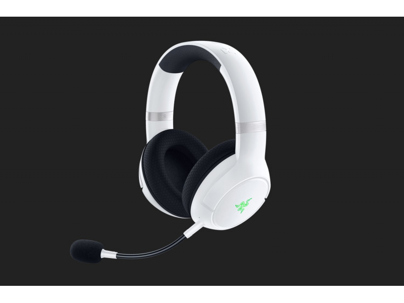 Razer Kaira Pro Headset RZ04-03470300-R3M1