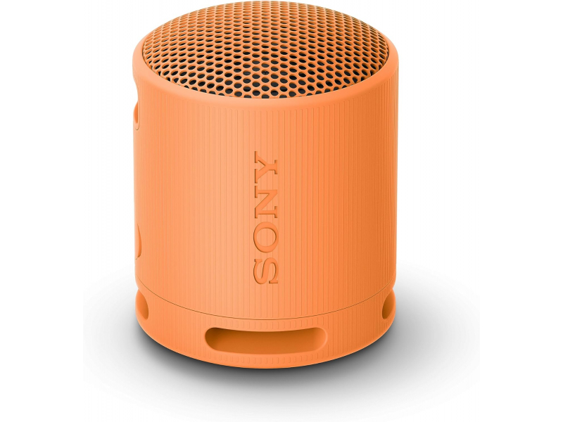 Sony SRS-XB100 Orange Lautsprecher SRSXB100D.CE7